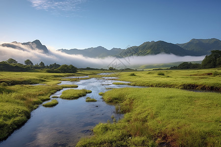 美丽的高山湿地图片