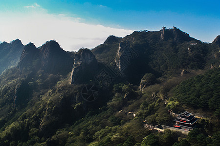 山脉上的植物图片