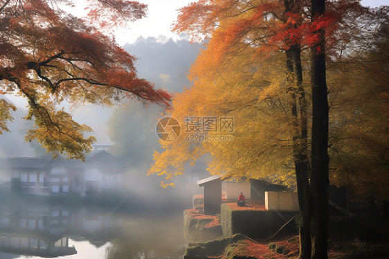 小城秋景图片