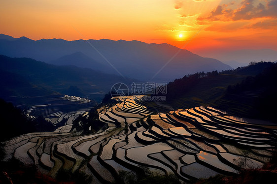 日落时山中的梯田图片