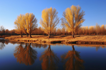 秋天的湿地公园图片