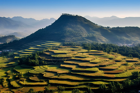 蓝天下的梯田风景图片