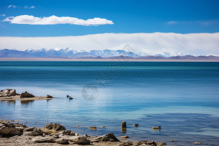 美丽的湖泊风景图片