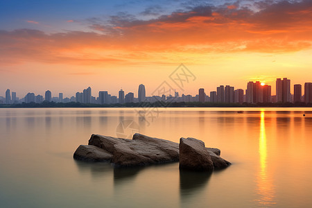 城市中的城中湖自然景观背景图片