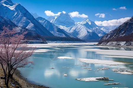 高原地区的的雪山景观图片