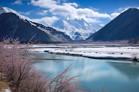 林芝地区的雪山景观背景