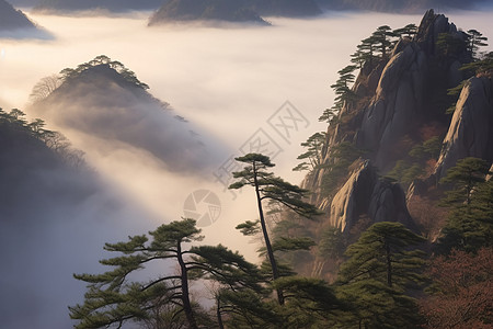 清晨的黄山风景区背景图片