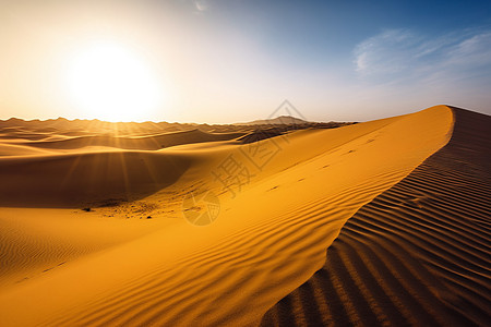 金黄的沙丘背景图片