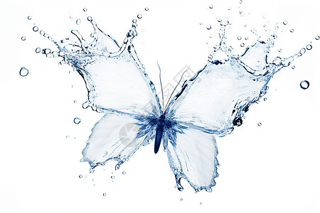 透明的蝴蝶背景图片
