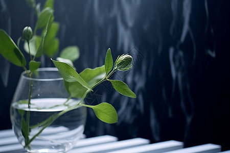 水杯里的植物图片