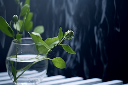 水杯里的植物背景图片