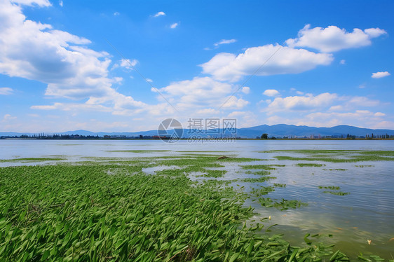 平静的湖面图片