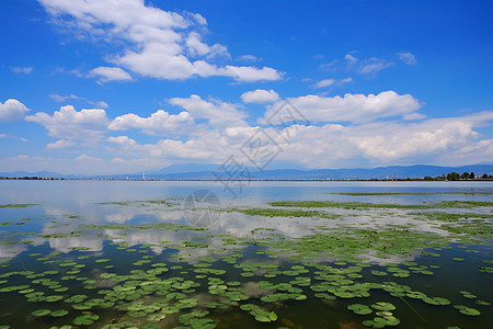 蓝天下的水面蓝天下的湖面背景