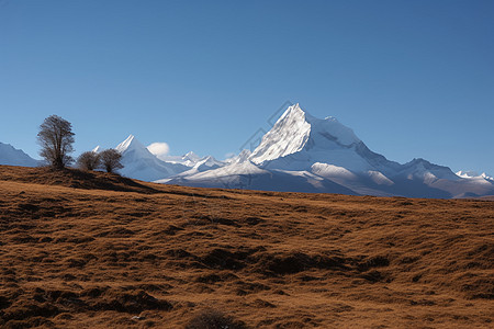 神圣的雪山拉姆沙威玛高清图片