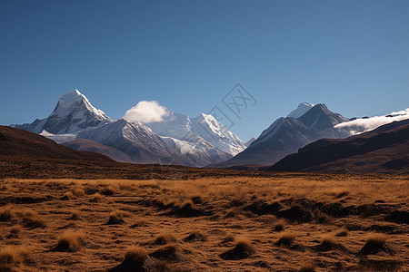 高大的雪山图片