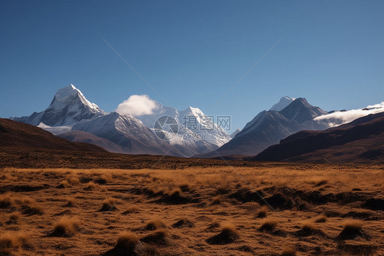 高大的雪山图片