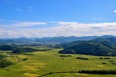 绵延的田野图片