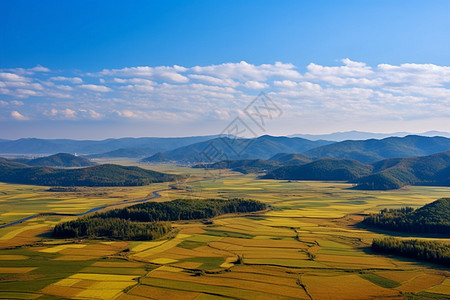 山川下的稻田图片