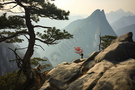 华山自然风景区背景图片