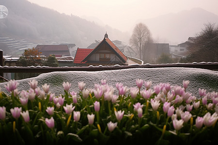 江南园林的郁金香花园图片