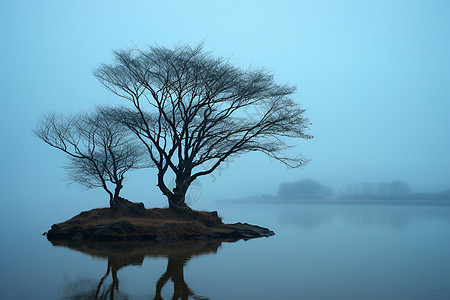 阳澄湖湿地的自然景观图片