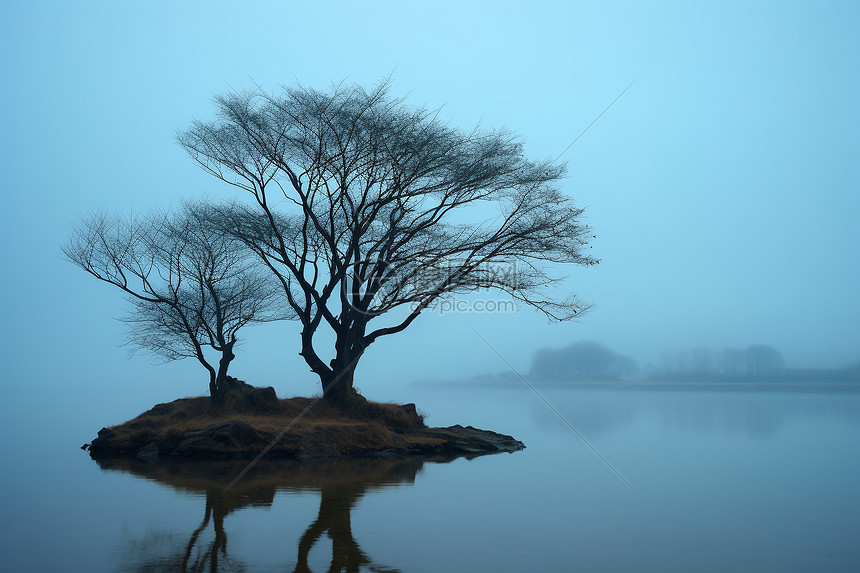 阳澄湖湿地的自然景观图片