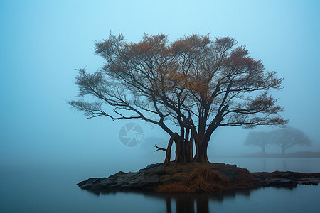 阳澄湖的自然景观图片