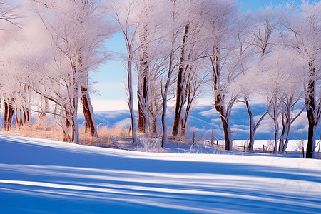 雪地的唯美风景图片