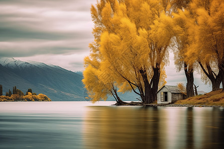 湖边秋天的风景背景图片