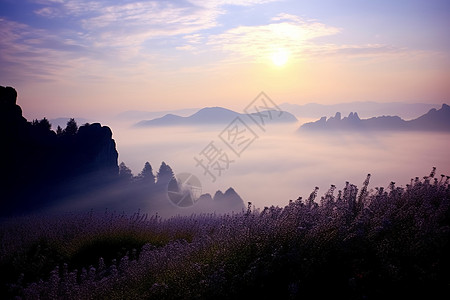 日出的风景图片