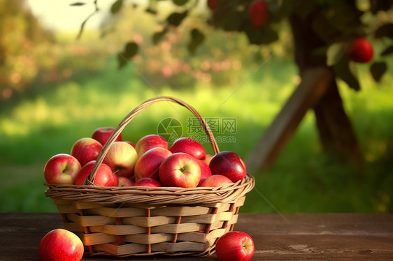一篮子苹果图片