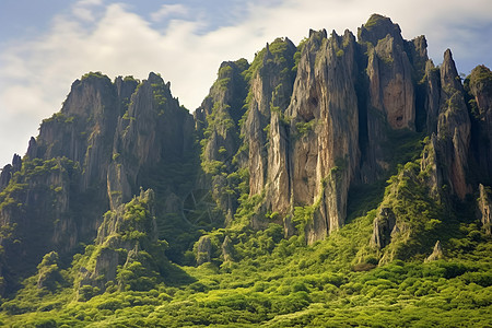 植被生长的山脉图片