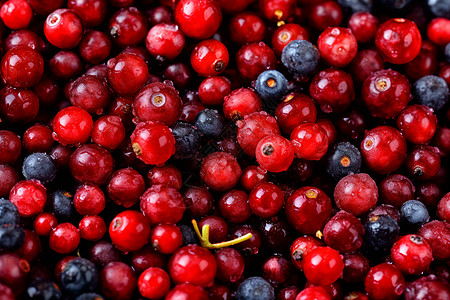 蔓越莓水果美味的浆果背景