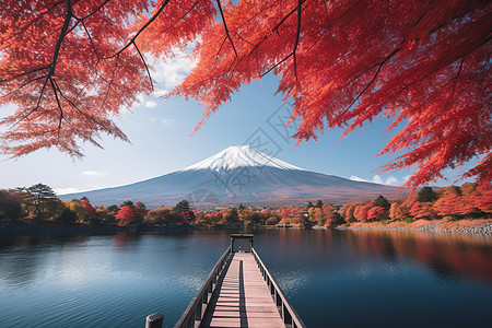 优美的富士山图片