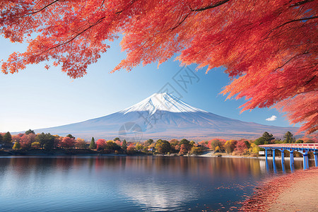 蓝天下的富士山图片