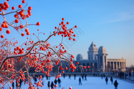 花楸树下的场图片