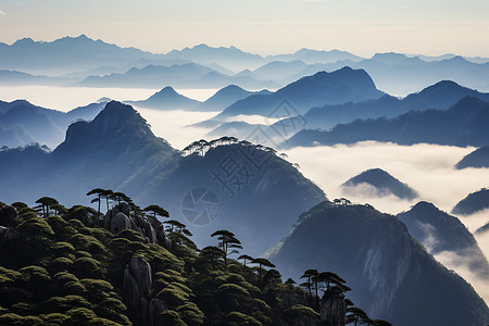 旅游山脉云海背景