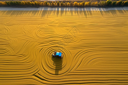 一大片金黄色稻田图片