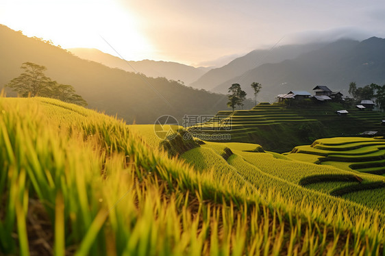 夏季乡村的景色图片