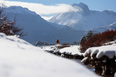 梦幻的雪山图片