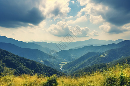 晴朗天气下的美景图片