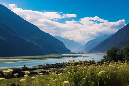 夏日的山间景色图片