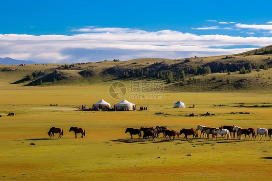 草原上的马群背景图片
