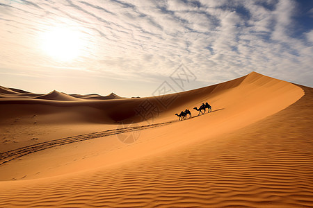 恶劣气候的沙漠图片