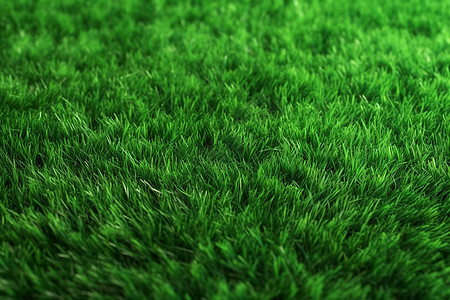 绿色的人造草皮图片
