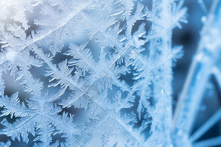 玻璃上的冷凝的雪花图片