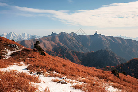 起伏的山峰图片