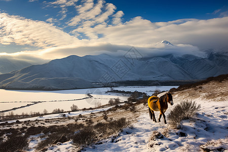 雪域高原的风景背景图片