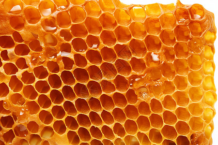蜂胶上有很多蜂蜜图片