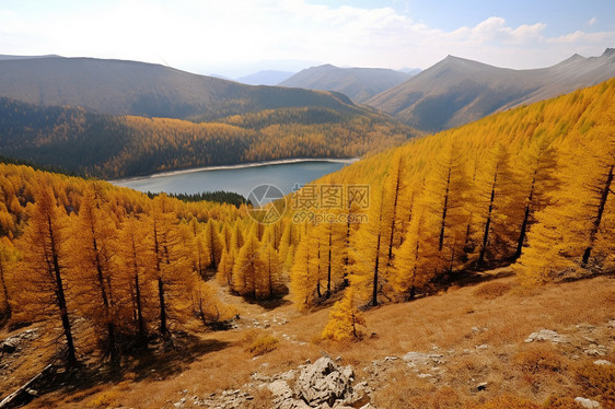 山间的秋天湖面图片